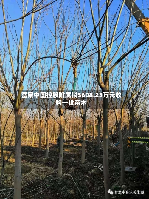 富景中国控股附属拟3608.23万元收购一批苗木-第3张图片