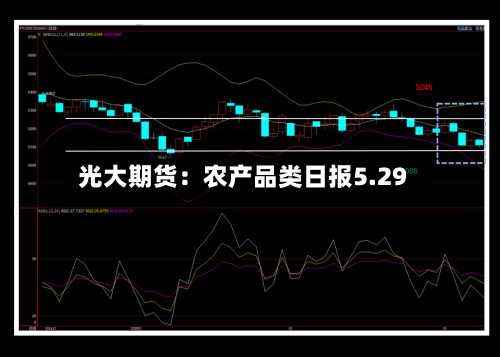 光大期货：农产品类日报5.29-第3张图片