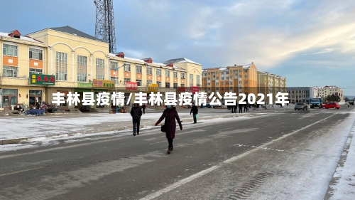 丰林县疫情/丰林县疫情公告2021年-第3张图片
