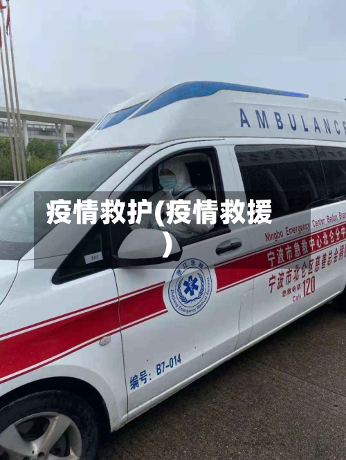 疫情救护(疫情救援)