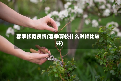 春季修剪疫情(春季剪枝什么时候比较好)-第3张图片