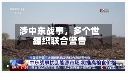 涉中东战事，多个世界组织联合警告-第2张图片