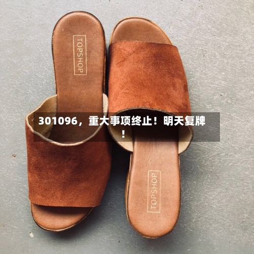 301096，重大事项终止！明天复牌！-第2张图片
