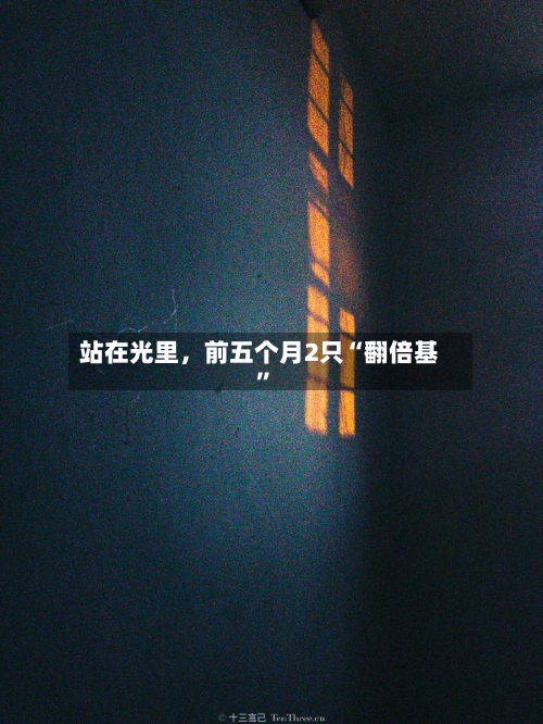 站在光里，前五个月2只“翻倍基”-第2张图片