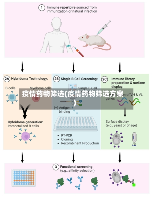 疫情药物筛选(疫情药物筛选方案)