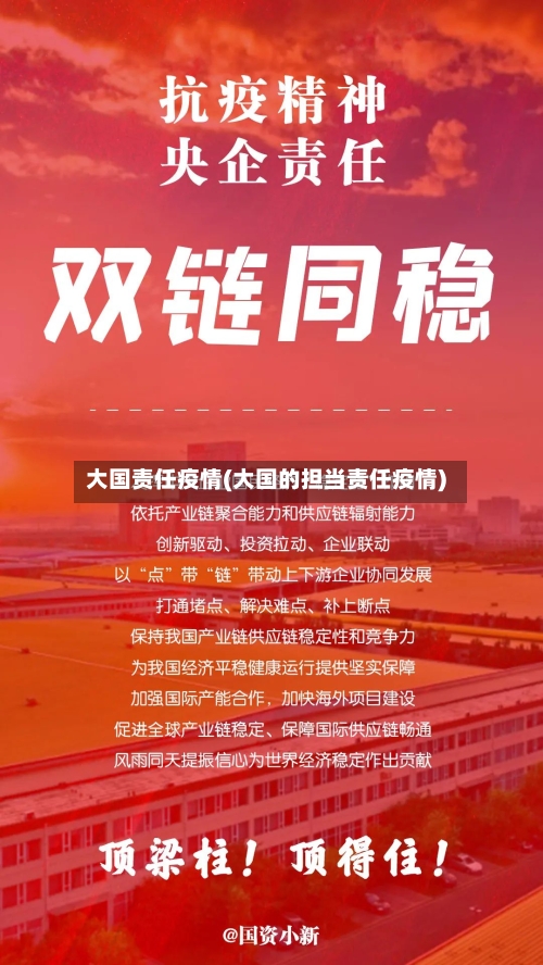 大国责任疫情(大国的担当责任疫情)
