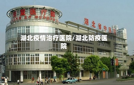 湖北疫情治疗医院/湖北防疫医院