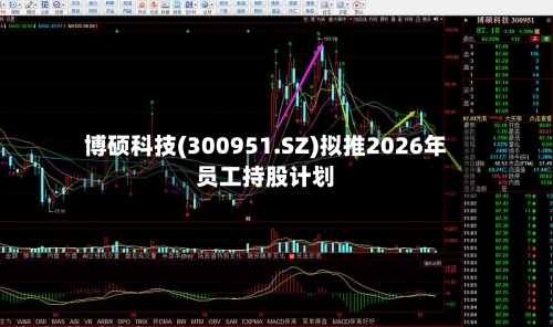 博硕科技(300951.SZ)拟推2026年员工持股计划