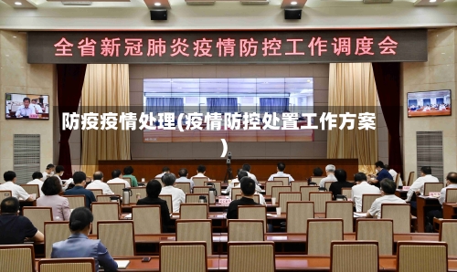 防疫疫情处理(疫情防控处置工作方案)-第3张图片