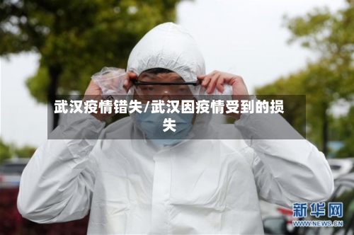 武汉疫情错失/武汉因疫情受到的损失