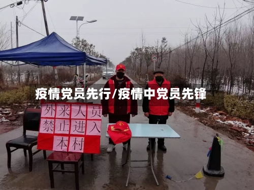 疫情党员先行/疫情中党员先锋-第3张图片