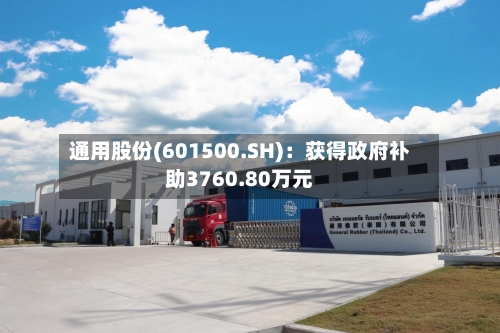 通用股份(601500.SH)：获得政府补助3760.80万元