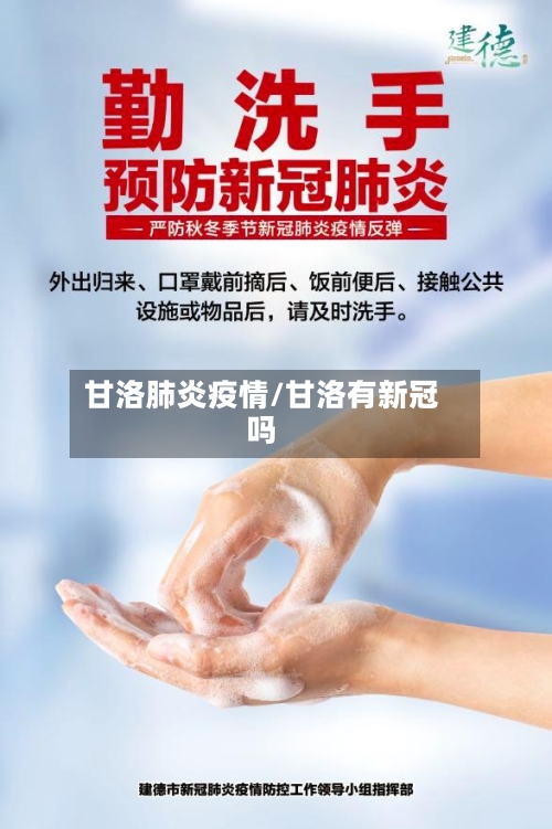 甘洛肺炎疫情/甘洛有新冠吗