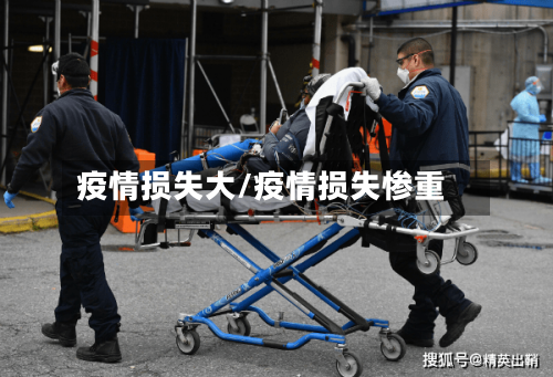 疫情损失大/疫情损失惨重