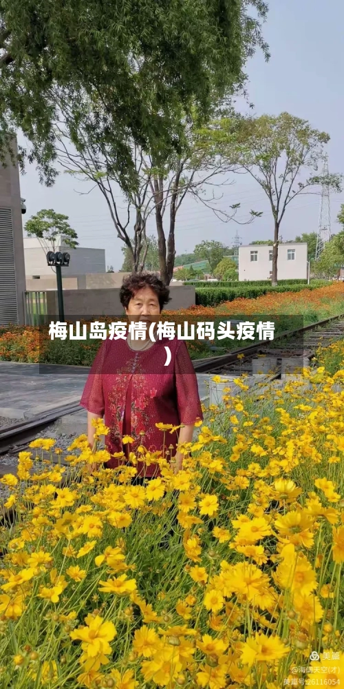 梅山岛疫情(梅山码头疫情)-第3张图片