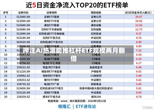 押注AI热潮助推杠杆ETF规模两月翻倍-第2张图片