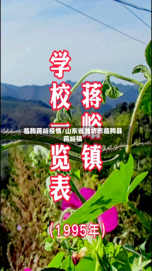 临朐蒋峪疫情/山东省潍坊市临朐县蒋峪镇