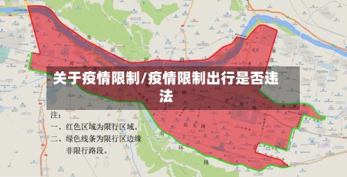 关于疫情限制/疫情限制出行是否违法