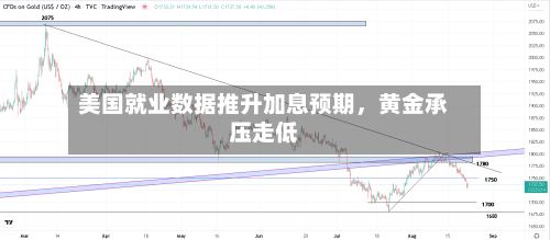 美国就业数据推升加息预期，黄金承压走低-第3张图片
