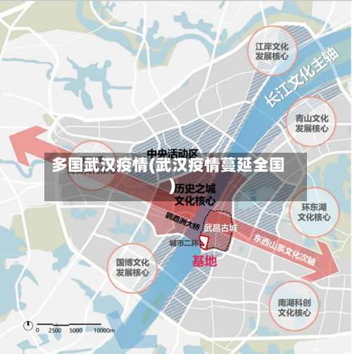 多国武汉疫情(武汉疫情蔓延全国)-第2张图片