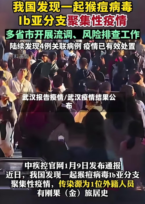 武汉报告疫情/武汉疫情结果公布-第2张图片