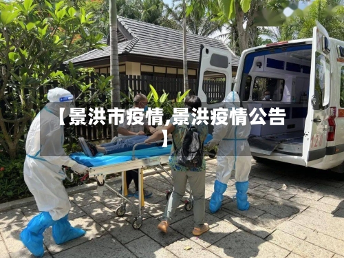 【景洪市疫情,景洪疫情公告】-第2张图片