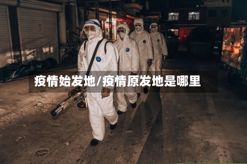 疫情始发地/疫情原发地是哪里