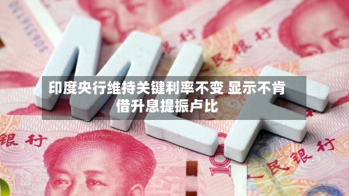 印度央行维持关键利率不变 显示不肯借升息提振卢比