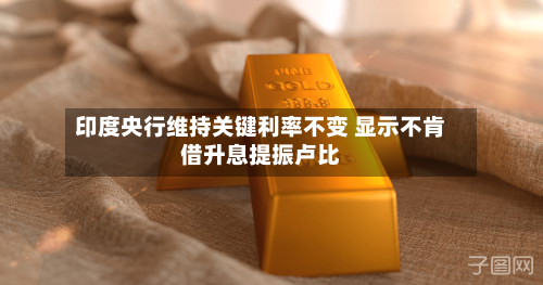 印度央行维持关键利率不变 显示不肯借升息提振卢比-第2张图片