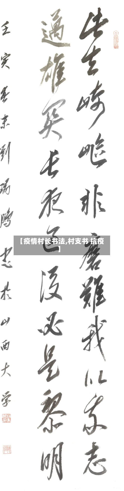 【疫情村长书法,村支书 抗疫】-第3张图片