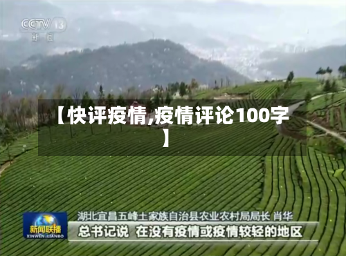 【快评疫情,疫情评论100字】