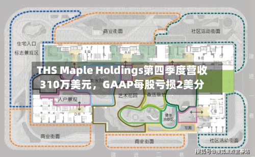 THS Maple Holdings第四季度营收310万美元	，GAAP每股亏损2美分-第2张图片