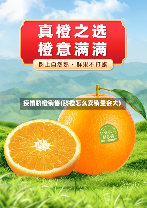 疫情脐橙销售(脐橙怎么卖销量会大)