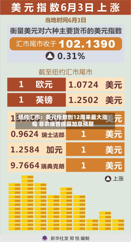 纽约汇市：美元指数创12周来最大涨幅 非农报告提振加息预期