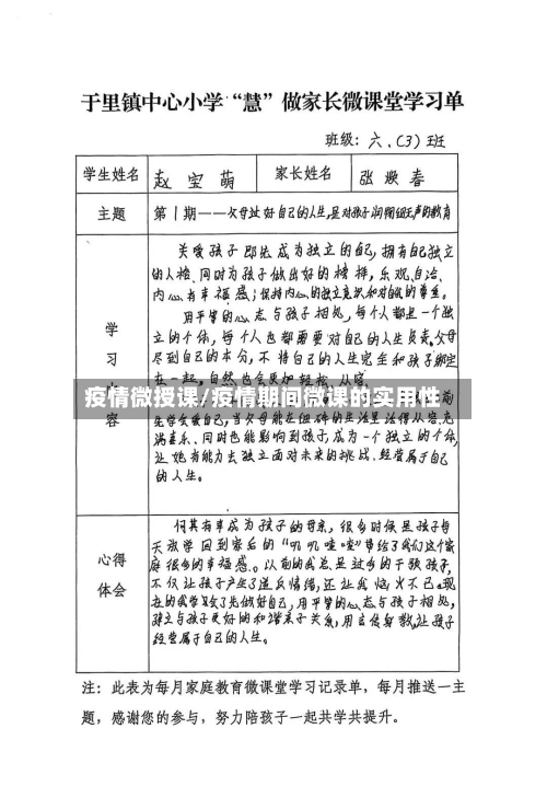 疫情微授课/疫情期间微课的实用性