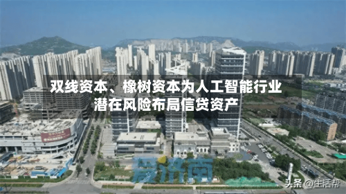 双线资本、橡树资本为人工智能行业潜在风险布局信贷资产-第2张图片