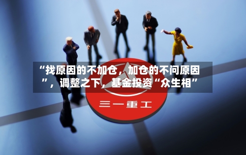 “找原因的不加仓，加仓的不问原因”，调整之下，基金投资“众生相”-第3张图片