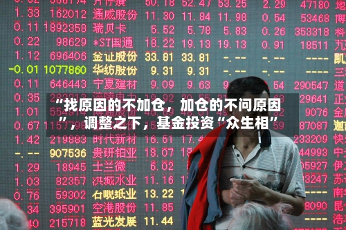 “找原因的不加仓，加仓的不问原因	”	，调整之下，基金投资“众生相”-第2张图片