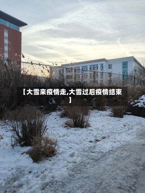 【大雪来疫情走,大雪过后疫情结束】