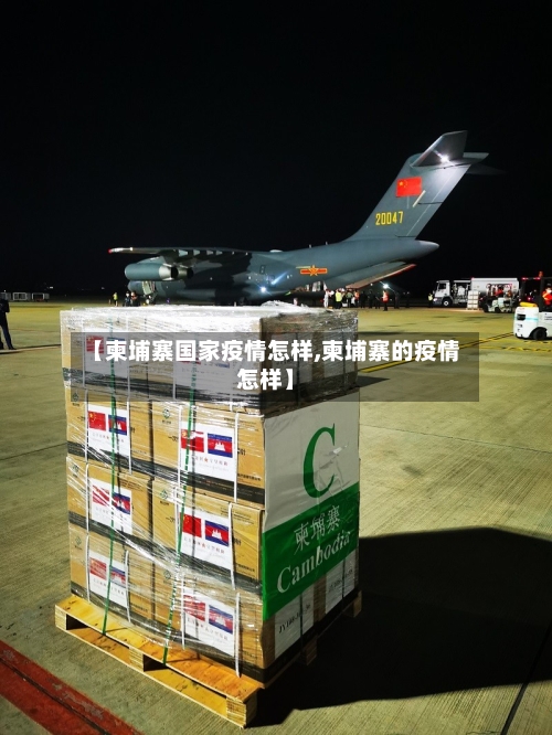 【柬埔寨国家疫情怎样,柬埔寨的疫情怎样】-第2张图片