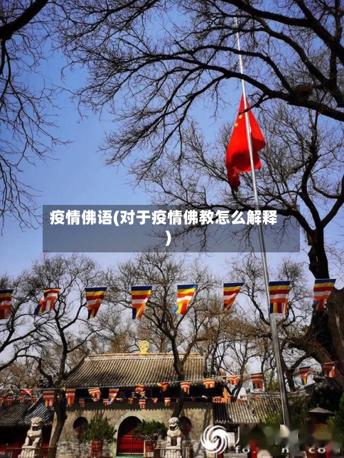 疫情佛语(对于疫情佛教怎么解释)-第2张图片