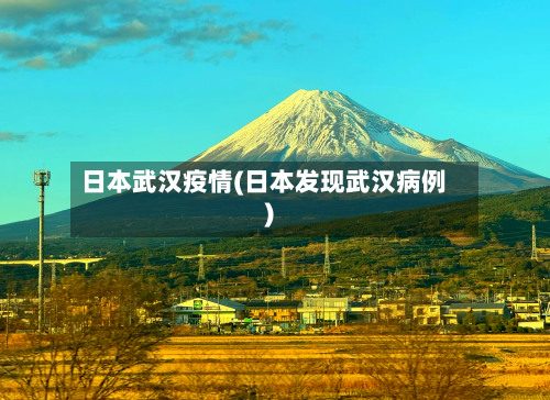 日本武汉疫情(日本发现武汉病例)