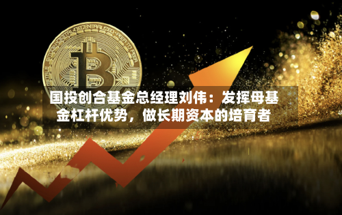 国投创合基金总经理刘伟：发挥母基金杠杆优势，做长期资本的培育者-第3张图片