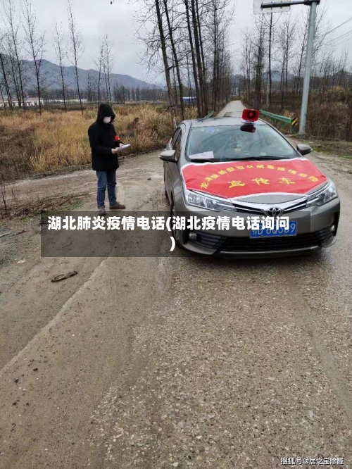 湖北肺炎疫情电话(湖北疫情电话询问)-第2张图片