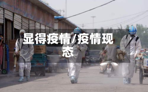 显得疫情/疫情现态