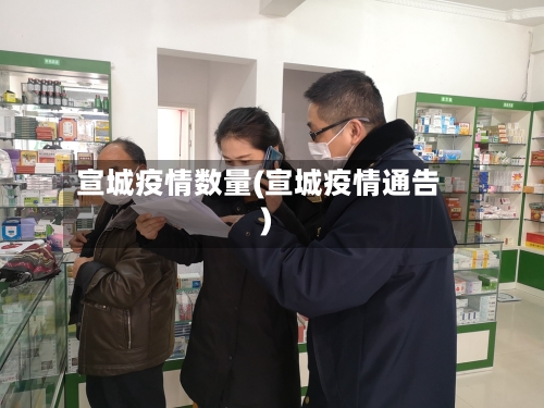 宣城疫情数量(宣城疫情通告)-第2张图片