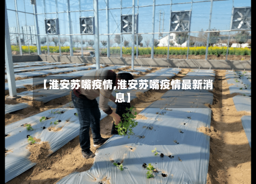 【淮安苏嘴疫情,淮安苏嘴疫情最新消息】