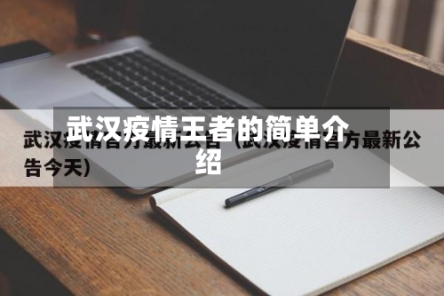 武汉疫情王者的简单介绍-第2张图片