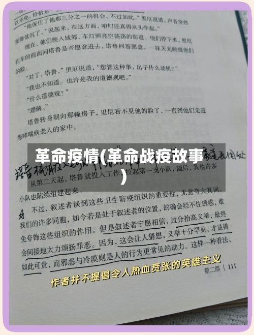 革命疫情(革命战疫故事)
