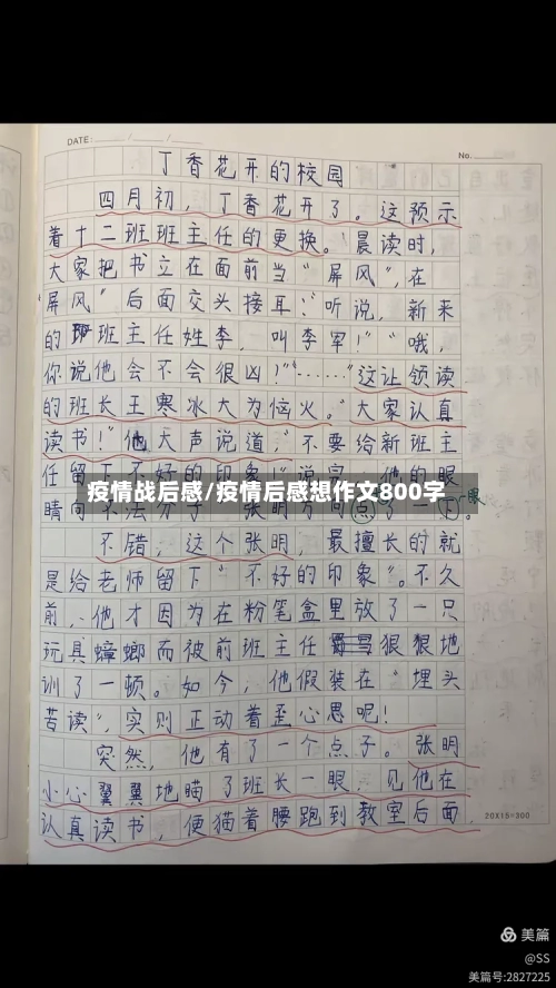 疫情战后感/疫情后感想作文800字-第2张图片